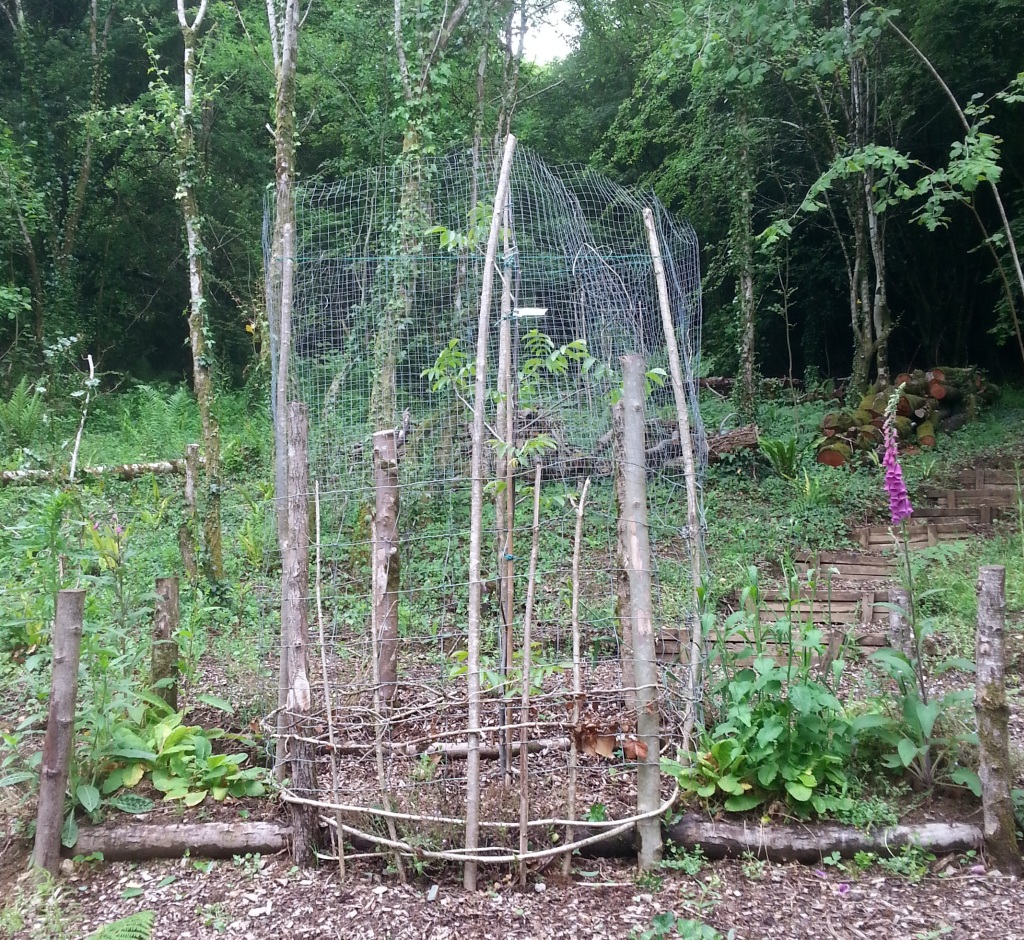 Landscaping the site