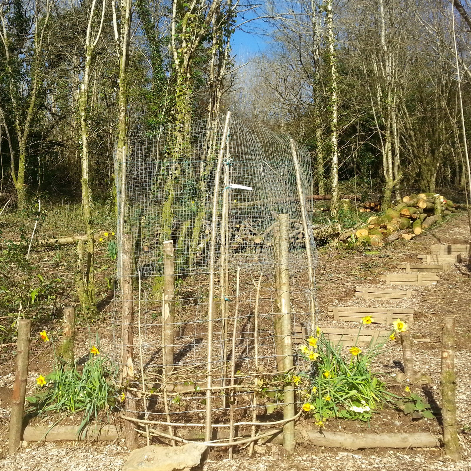 Landscaping the site