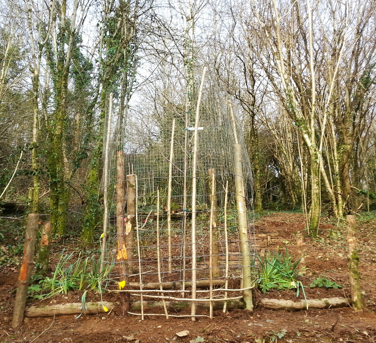 Landscaping the site